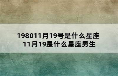 198011月19号是什么星座 11月19是什么星座男生